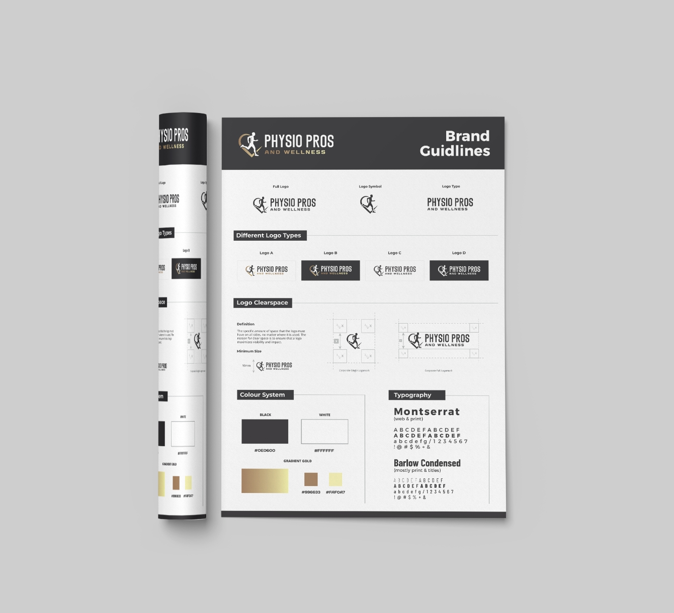 Physio Pros PPC - brand guidelines