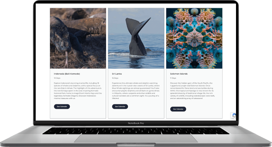 Project whale & Dolphin - a laptop with "extraordinary activities" tab 2